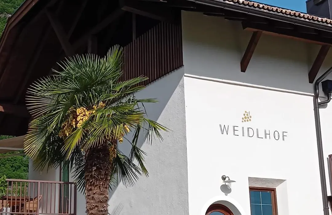 Weingut Weidlhof - Suite & Breakfast - Vacation For Wine Lovers-1